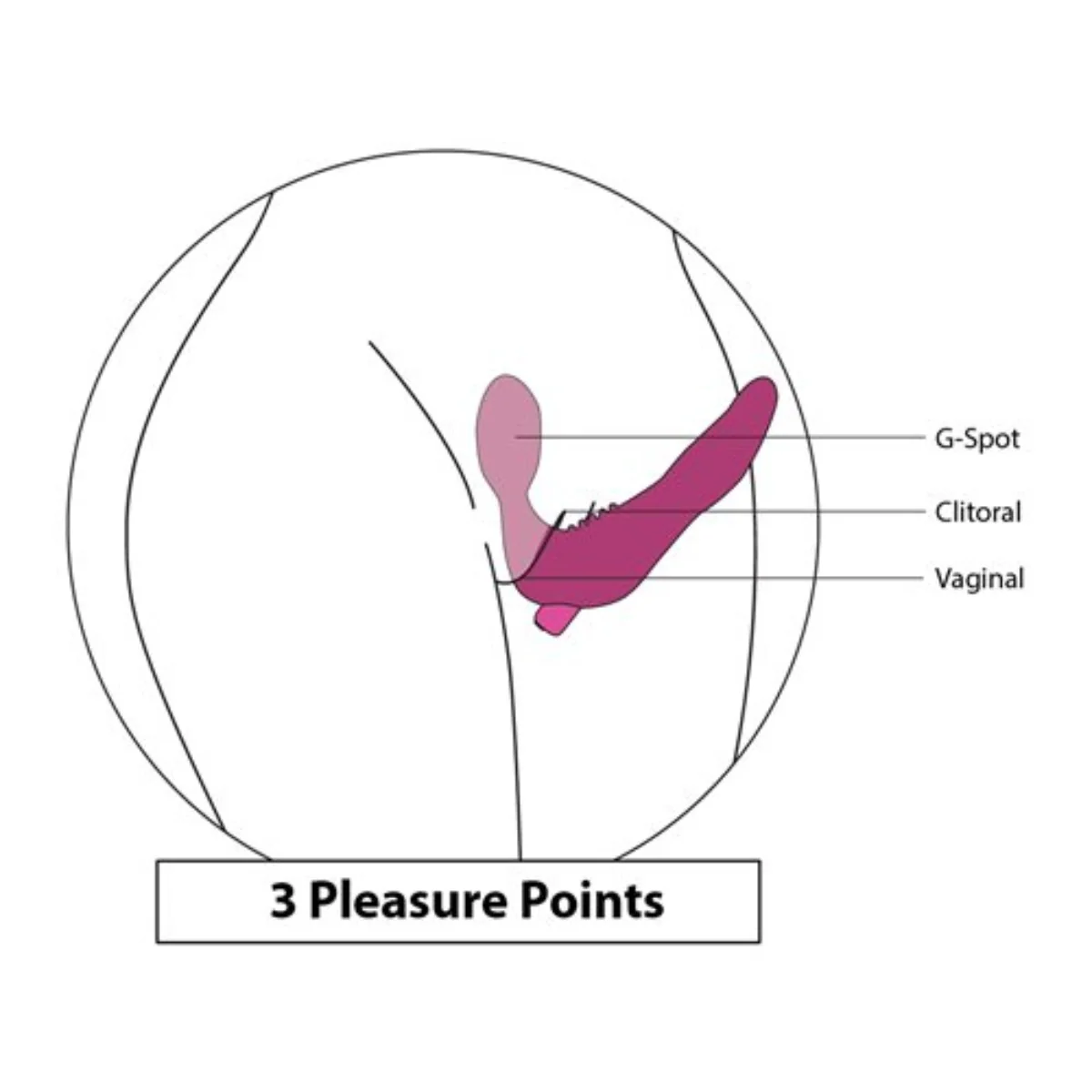 BMS Factory Infinity Rechargeable Strapless Strap-On Silicone Pink 4.75 Inch - Image 5