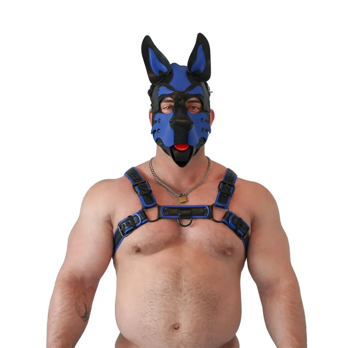 Brutus Pup Hood Vegan Leather Blue & Black - Image 3