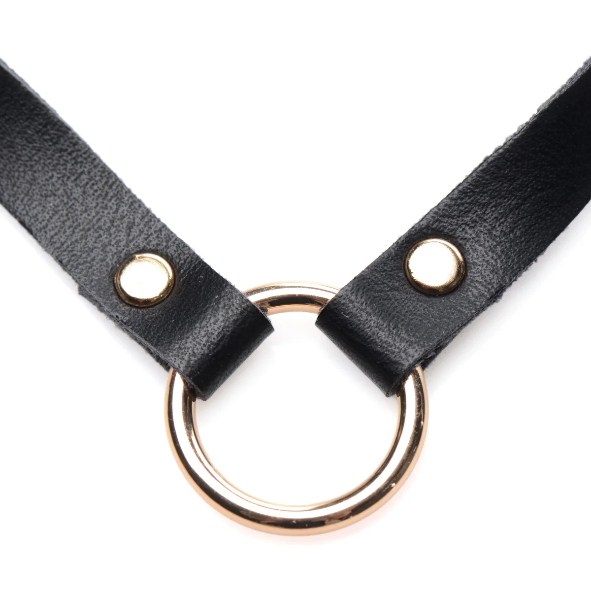 Master Series Posh Pet Gold Ring Slim Choker Black Gold - Image 3