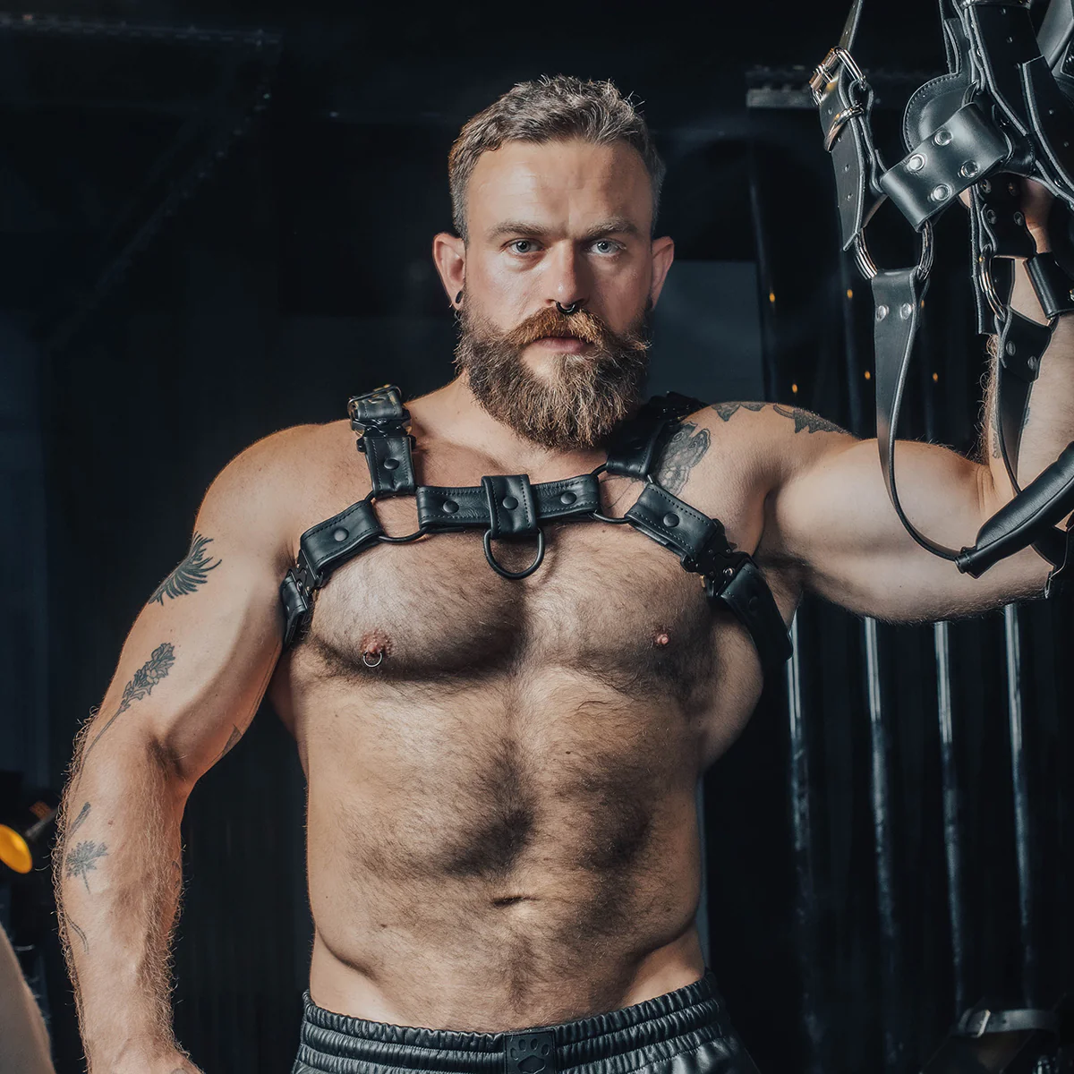 Prowler RED Leather Bull Harness With Metal Fittings Black - Image 4