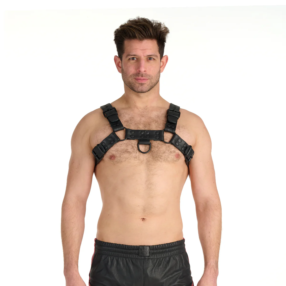 Prowler RED Leather Premium Noir Harness Black