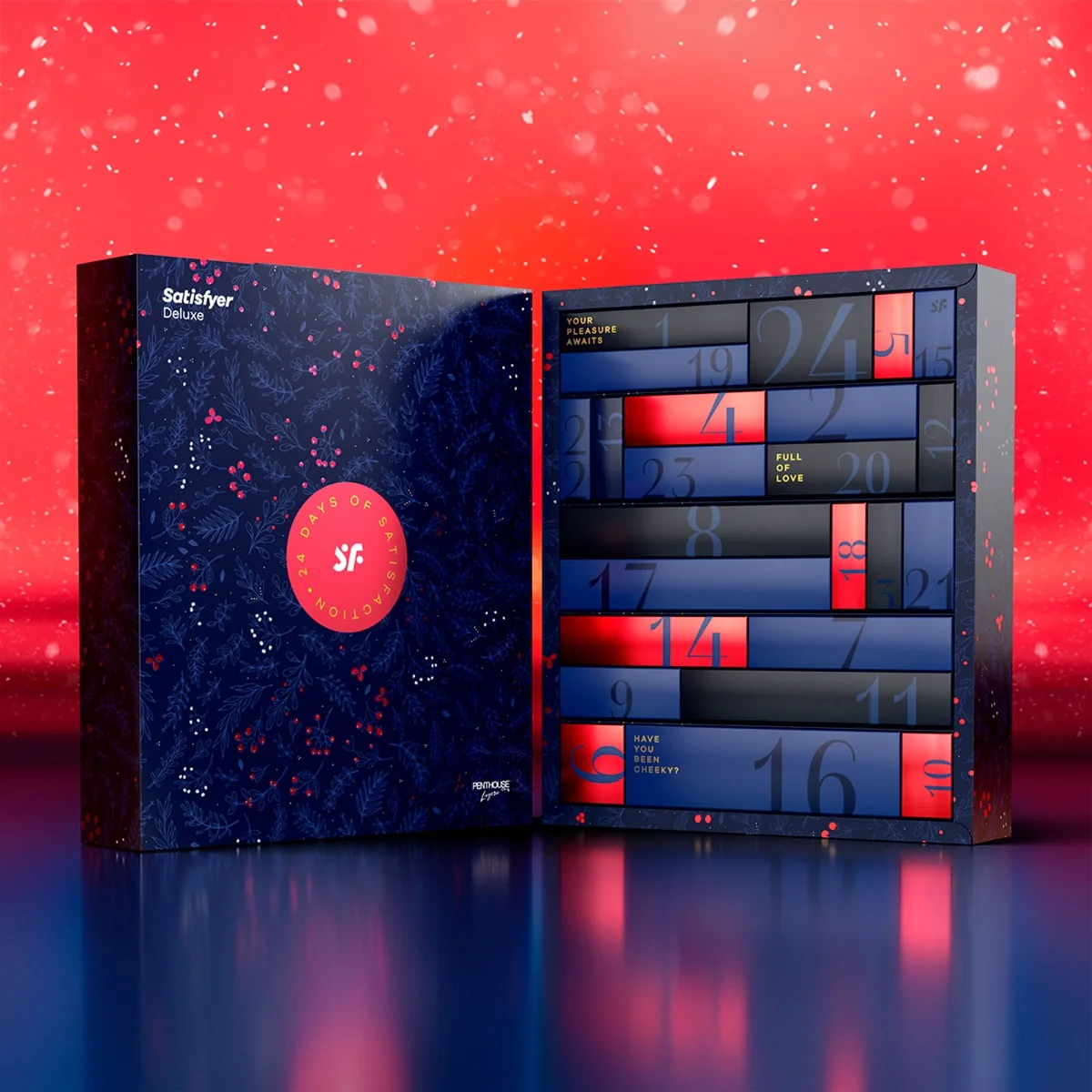 Satisfyer Deluxe 2024 Christmas Advent Calendar - Image 3
